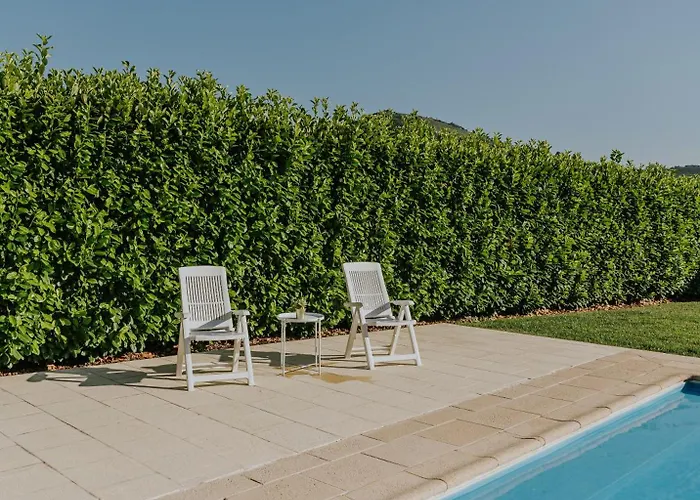 Jeronimos Garden & Pool Lamego